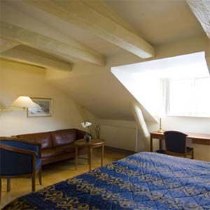 Superior double with king bed, and private facilities (shower)